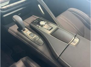Lexus LC 500 Cabriolet Performance Paket