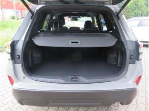 Subaru Forester 2.0ie Lineartronic Exclusive Panorama Navi Dyn. Kurvenlicht e-Sitze SD SHZ