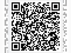 Volkswagen T-Roc R 2.0 TSI 4MOTION 300 PS DSG R-PERFORMANCE