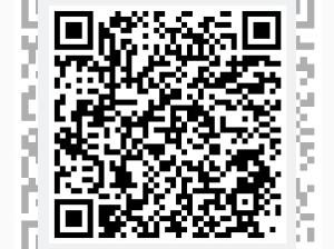 Volkswagen T-Roc R 2.0 TSI 4MOTION 300 PS DSG R-PERFORMANCE