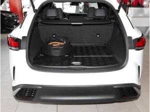 Lexus RX 450 F-Sport Design "Sofort Verfügbar"