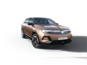 Opel Grandland Electric Ultimate **Elektrohammer**
