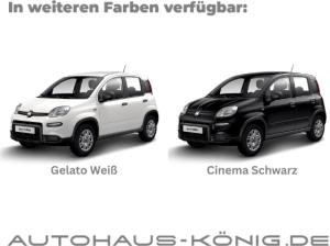 Fiat Panda Citypaket | Hot Summer Deal 🔥 | Reduzierte Bereitstellungskosten❗️