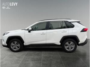 Toyota RAV 4 2.5 Business Edition +Allwetter+TEMP+Kamera+