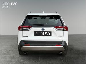 Toyota RAV 4 2.5 Business Edition +Allwetter+TEMP+Kamera+