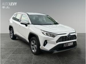 Toyota RAV 4 2.5 Business Edition +Allwetter+TEMP+Kamera+