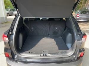 Ford Kuga 1.5 EcoBlue Titanium Kamera Sitzheizung