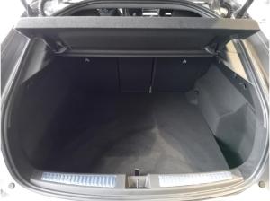 Renault Rafale Esprit Alpine 200 GJR/el.Heckklappe/PDC/Klimaaut.