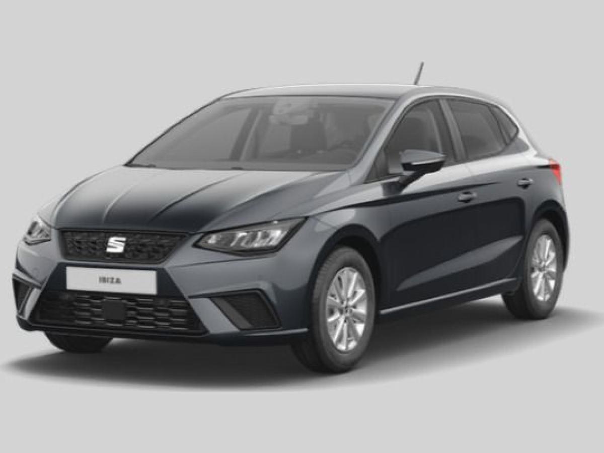 Seat Ibiza Road Edition 1.0 TSI 85 kW PDC RFK