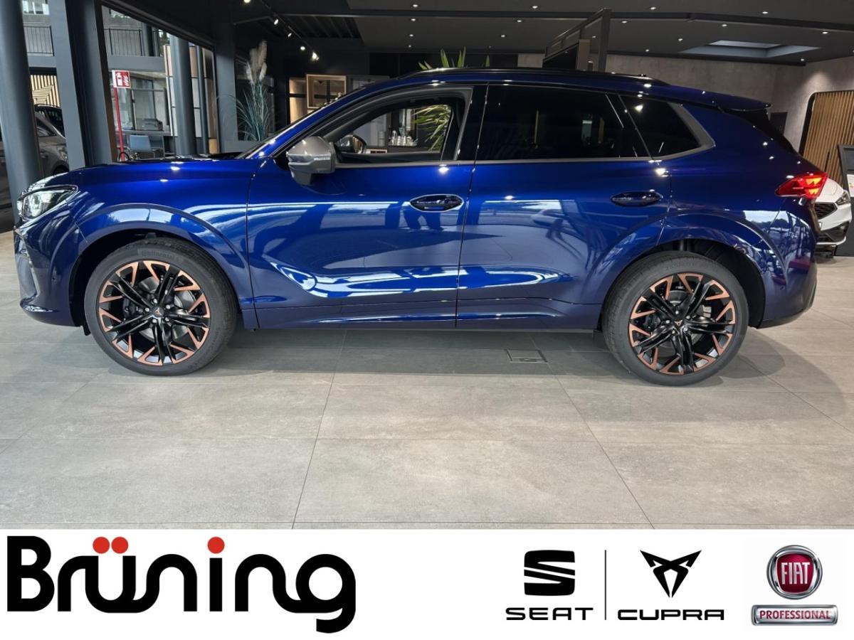 Cupra Terramar VZ 2.0 TSI /Panorama/Matrix/Sennheiser