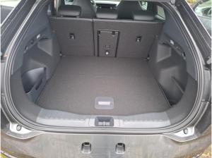 Ford Capri Ford Capri Premium+Sitzheizung+Anhängerkupplung+Head-up-Display