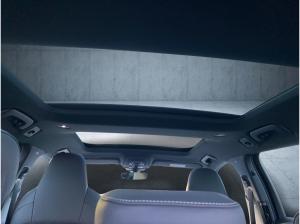 Audi S6 Avant TDI qu. tiptr. für Sonderabnehmer