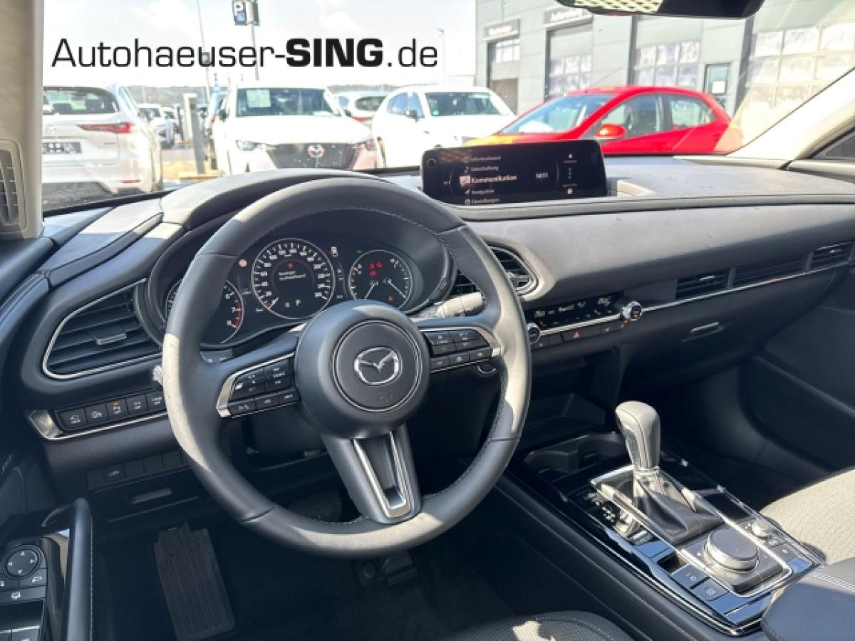 Bild 12