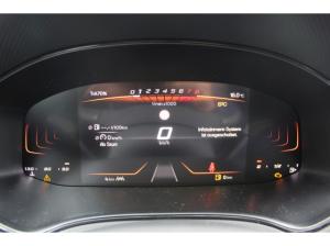 Seat Ibiza 1.0 TSI Road Edition NAVI LED KAMERA SHZ APP CONNECT