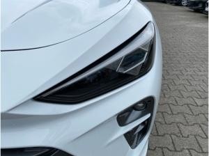 Cupra Terramar VZ 2.0TSI 195kW (265 PS) *DSG*4Drive*PANO*Matrix*Head-Up*Sennheiser*Privatkunden*