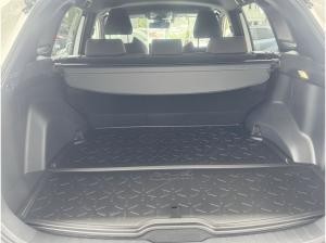 Toyota RAV 4 Plug-in-Hybrid Teamplayer, AHK