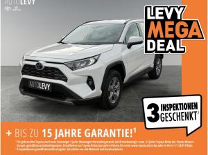 Toyota RAV 4 2.5 Hybrid Business +Allwetter+Temp+Kamera+