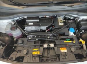 Cupra Tavascan Endurance  Drive Pack  Below Zero Pack