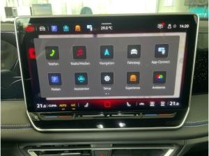 Volkswagen Tiguan 2,0 TDI R-Line Matrix AHK Kamera Navi
