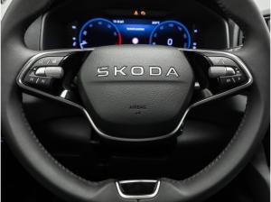 Skoda Karoq Selection 1.5 TSI AHK Navi Winter