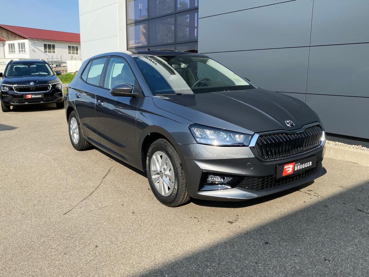 Skoda Fabia 1.0 MPI Selection LED RFK Sitzhz APPLE-CAR