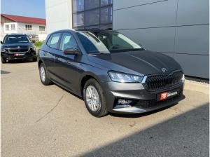 Skoda Fabia 1.0 MPI Selection LED RFK Sitzhz APPLE-CAR