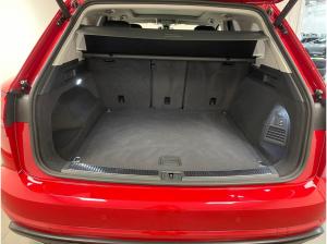 Volkswagen Touareg Elegance 4Motion 3,0 TSI - LED Kamera ACC App-Connect Leichtmetallräder DAB+ SHZ Panorama