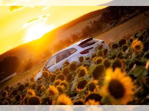 Suzuki Swace 1.8 Hybrid CVT Comfort+