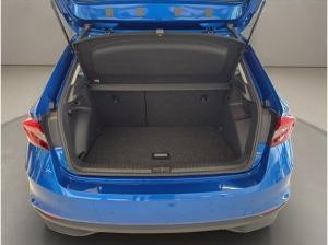 Skoda Fabia Tour SOFORT VERFÜGBAR ACC AUT Kamera DynLicht PDC