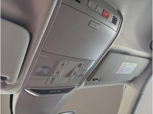 Skoda Fabia Tour SOFORT VERFÜGBAR ACC AUT Kamera DynLicht PDC