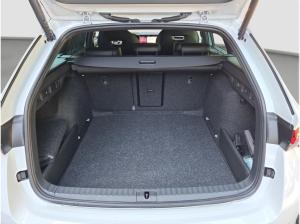 Skoda Octavia Combi 2.0 TDI DSG MATRIX AHK 360° Winter
