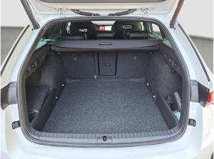 Skoda Octavia Combi 2.0 TDI DSG MATRIX AHK 360° Winter