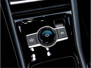 Volkswagen Tiguan R-Line 1,5 l eHybrid 272 PS /  DSG Sofort verfügbar