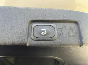 Ford Puma Gen-E Ink. Komfort und Winter Paket