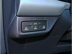 Cupra Terramar VZ 2.0TSI *sofort verfügbar*