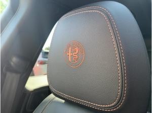 Alfa Romeo Stelvio Intensa 2.2 Diesel - Kamera Navi *Sofort Verfügbar*