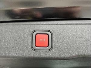 Jeep Avenger Altitude 1.2 Winter NAVI Allwetter SH