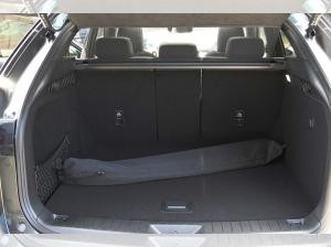 Mazda CX-60 eSKYACTIV D254ps Aut. AWD Homura Plus