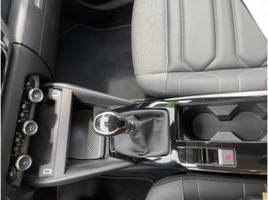 Citroën C4 1.2 130 Shine HeadUp/FullLED/Navi/SHZ/360°