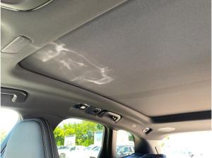 Volvo XC60 T8 Plus Black Edition AHK Licht Lagom Paket