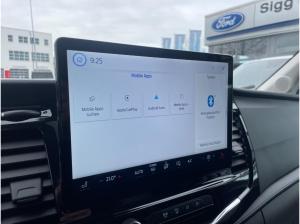 Ford Transit Pritsche DoKa Trend 350 L3*AHK*CAM*KLIMA*PDC