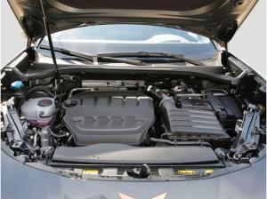 Cupra Terramar VZ 2.0 TSI-7-Gang DSG 4Drive CAL