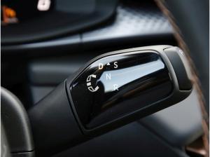 Cupra Terramar VZ 2.0 TSI-7-Gang DSG 4Drive CAL