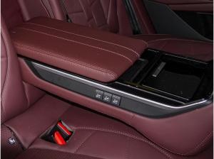 DS Automobiles DS 9 Hybrid Rivoli E-Tense Fin. ab 2,99% Leder SD