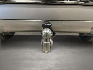 Audi SQ5 SUV TFSI S tronic Matrix 360 ACC AHK