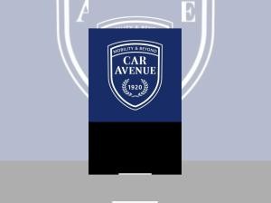 Renault Scenic Techno 220 Long Range  0,25%🔋- ❗️Hammerangebot❗️