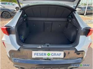 Cupra Formentor VZ 2.0 TSI Black Edition AHK/Pano/360°