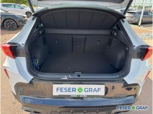 Cupra Formentor VZ 2.0 TSI Black Edition AHK/Pano/360°