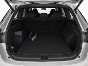 Skoda Kodiaq RS 2.0 TSI 4x4 AHK Kamera Navi Matrix