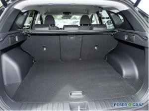 Hyundai TUCSON Tucson TREND HEV NAVI LED CAM CARPLAY SHZ LHZ